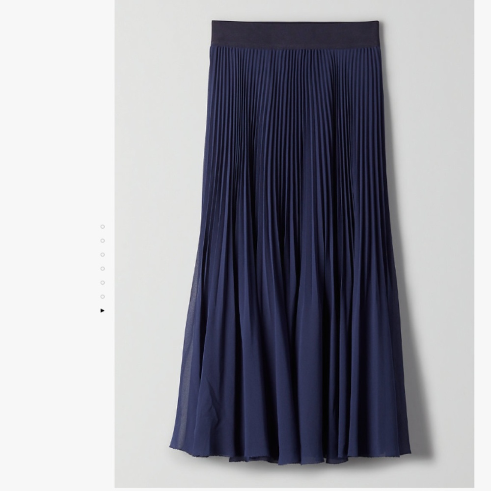 Aritzia Twirl Skirt - Pleated, Chiffon Midi Skirt